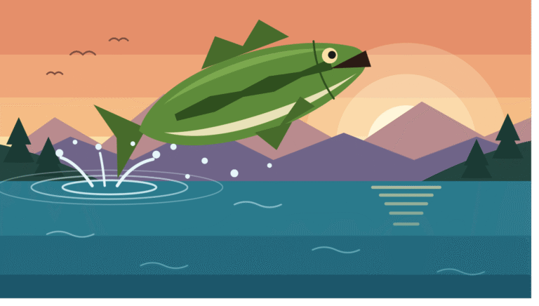 World Record Largemouth Bass
